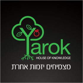 YAROK0