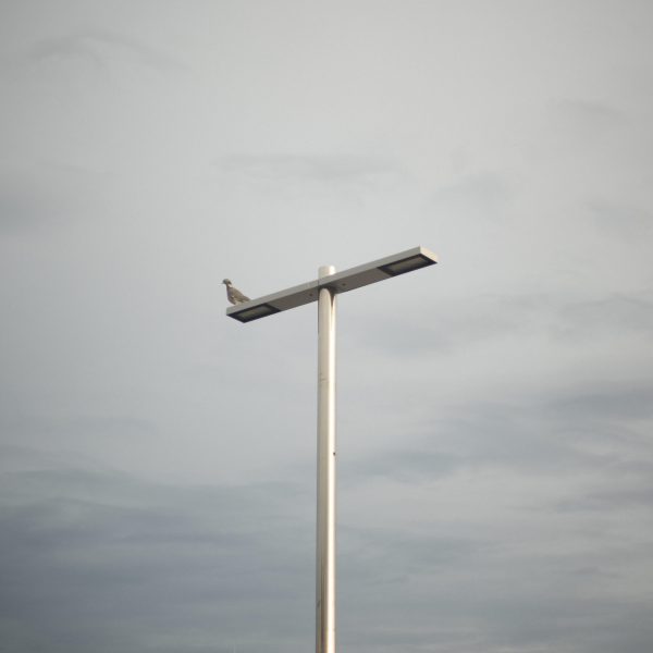 20231027_spain_girona_palamos_port_marina_raf_equipo_urbidermis_21_optimized